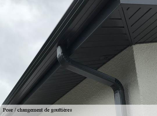 Pose / changement de gouttières 69 Rhône Ets Lagrenee votre expert en toiture